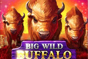 Big Wild Buffalo